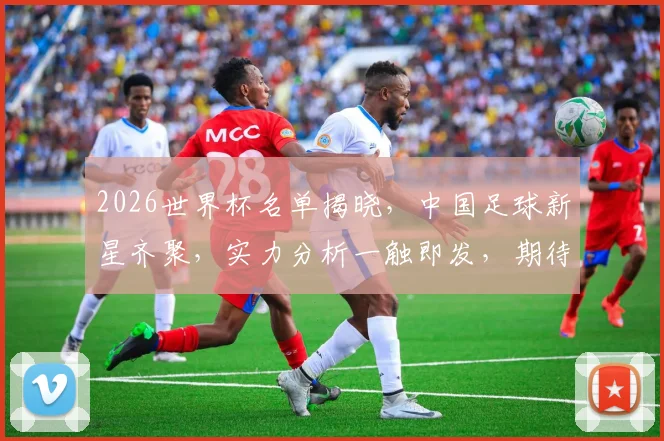 2026世界杯名单揭晓，中国足球新星齐聚，实力分析一触即发，期待中国荣耀