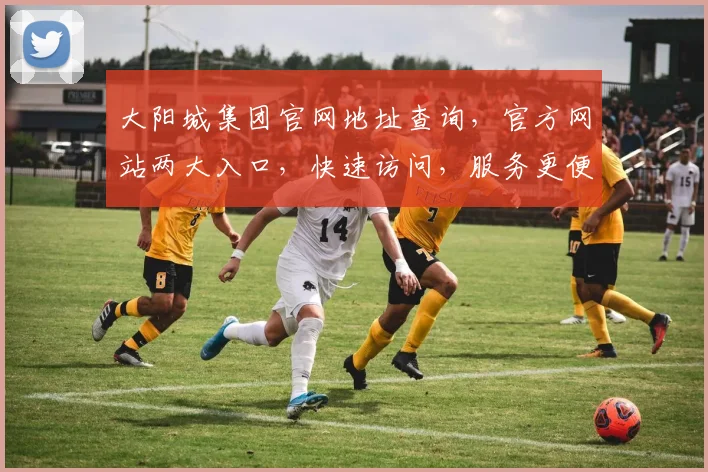 大阳城集团官网地址查询，官方网站两大入口，快速访问，服务更便捷